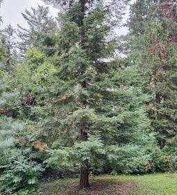 Soproni Botanikus Kert 