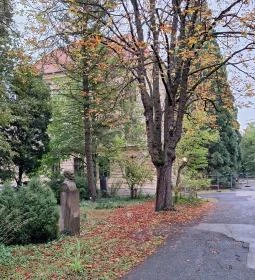 Soproni Botanikus Kert 