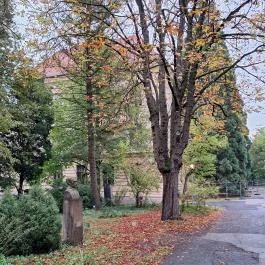 Soproni Botanikus Kert Sopron - Külső kép