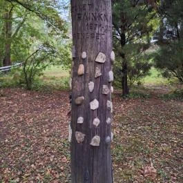 Soproni Botanikus Kert , Sopron - Egyéb