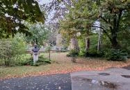 Soproni Botanikus Kert Sopron