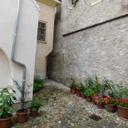 Középkori Ó-zsinagóga, Sopron - 