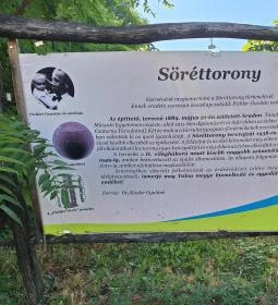Söréttorony