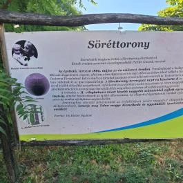 Söréttorony Kölesd - Borjád - Egyéb