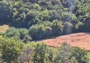 Söréttorony Kölesd - Borjád