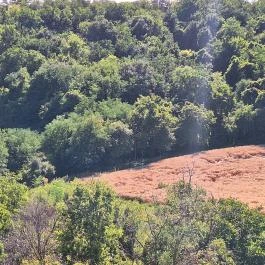 Söréttorony Kölesd - Borjád - Külső kép
