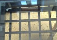 Söréttorony szállás Kölesd - Borjád