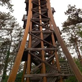 Sörházdombi Kilátó, Sopron - Külső kép