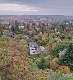 Sörházdombi Kilátó