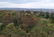 Sörházdombi Kilátó Sopron