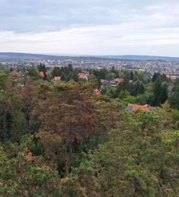 Sörházdombi Kilátó