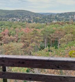 Sörházdombi Kilátó