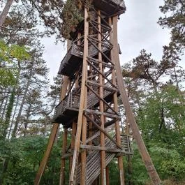 Sörházdombi Kilátó, Sopron - Külső kép