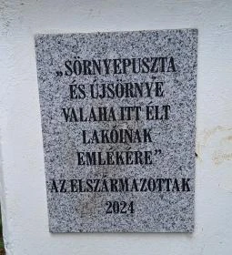 Sörnyepusztai templomrom