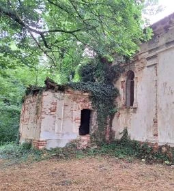 Sörnyepusztai templomrom