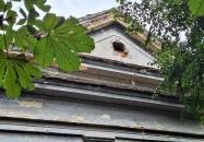 Sörnyepusztai templomrom Somogysárd 