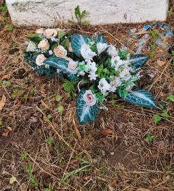 Sörnyepusztai templomrom