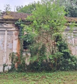 Sörnyepusztai templomrom