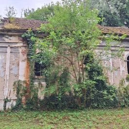 Sörnyepusztai templomrom Somogysárd - Külső kép