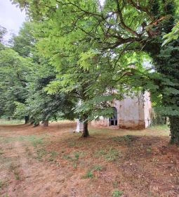 Sörnyepusztai templomrom