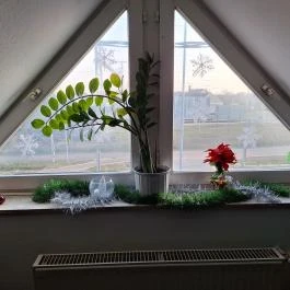 Sott' íz Ebédlő Pusztaszabolcs - Egyéb