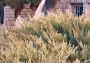 Spartacus-szobor Budapest