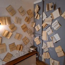 Spatula Cafe, Budapest - Egyéb