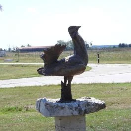 Sterbetz István Túzokvédelmi Látogatóközpont KMNP, Dévaványa - Egyéb