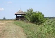 Sterbetz István Túzokvédelmi Látogatóközpont KMNP Dévaványa