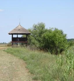Sterbetz István Túzokvédelmi Látogatóközpont KMNP