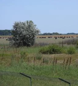 Sterbetz István Túzokvédelmi Látogatóközpont KMNP