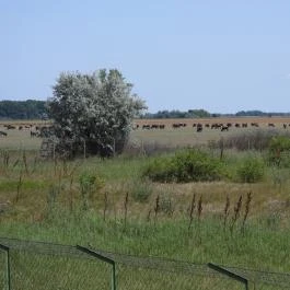 Sterbetz István Túzokvédelmi Látogatóközpont KMNP, Dévaványa - Külső kép