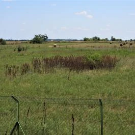 Sterbetz István Túzokvédelmi Látogatóközpont KMNP, Dévaványa - Külső kép