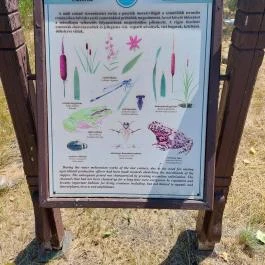 Sterbetz István Túzokvédelmi Látogatóközpont KMNP, Dévaványa - Egyéb