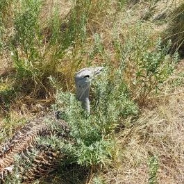 Sterbetz István Túzokvédelmi Látogatóközpont KMNP, Dévaványa - Egyéb