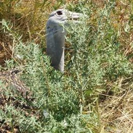 Sterbetz István Túzokvédelmi Látogatóközpont KMNP, Dévaványa - Egyéb