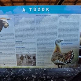 Sterbetz István Túzokvédelmi Látogatóközpont KMNP, Dévaványa - Egyéb