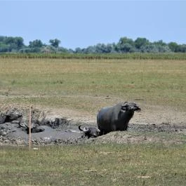 Sterbetz István Túzokvédelmi Látogatóközpont KMNP, Dévaványa - Külső kép