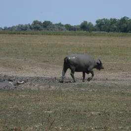 Sterbetz István Túzokvédelmi Látogatóközpont KMNP, Dévaványa - Külső kép