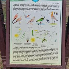 Sterbetz István Túzokvédelmi Látogatóközpont KMNP, Dévaványa - Egyéb