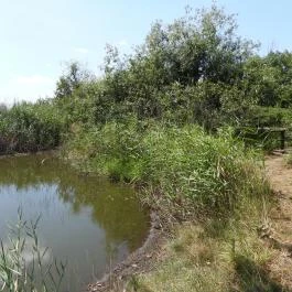 Sterbetz István Túzokvédelmi Látogatóközpont KMNP, Dévaványa - Külső kép