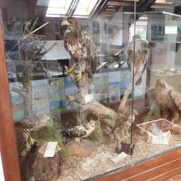 Sterbetz István Túzokvédelmi Látogatóközpont KMNP, Dévaványa - Egyéb