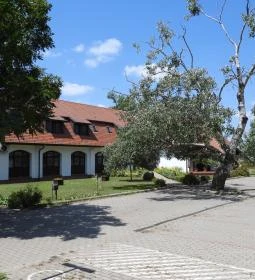 Sterbetz István Túzokvédelmi Látogatóközpont KMNP