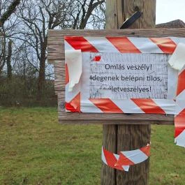 Strasszer-kastély romjai Igar - Egyéb