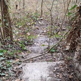 Strasszer-kastély romjai Igar - Egyéb