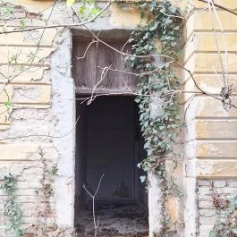 Strasszer-kastély romjai Igar - Egyéb