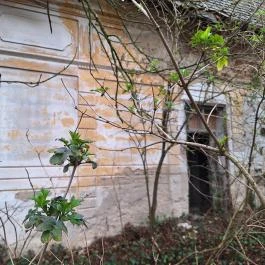 Strasszer-kastély romjai Igar - Külső kép