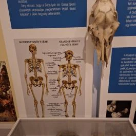 Subalyuk-Múzeum, Cserépfalu - Egyéb