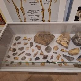 Subalyuk-Múzeum, Cserépfalu - Egyéb