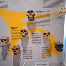 Subalyuk-Múzeum, Cserépfalu - Egyéb